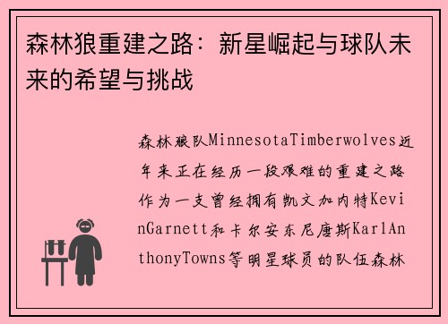 森林狼重建之路：新星崛起与球队未来的希望与挑战