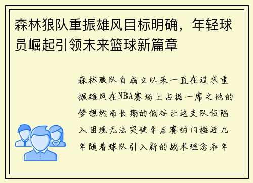 森林狼队重振雄风目标明确，年轻球员崛起引领未来篮球新篇章